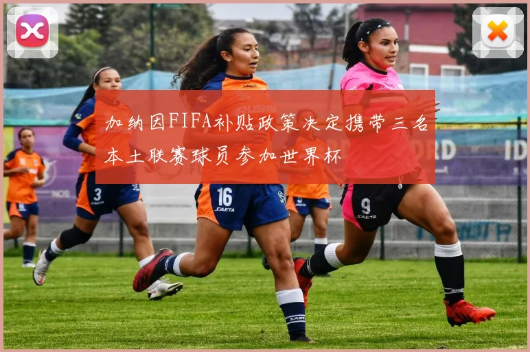 加纳因FIFA补贴政策决定携带三名本土联赛球员参加世界杯